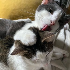 Meet your Posher, Nathan